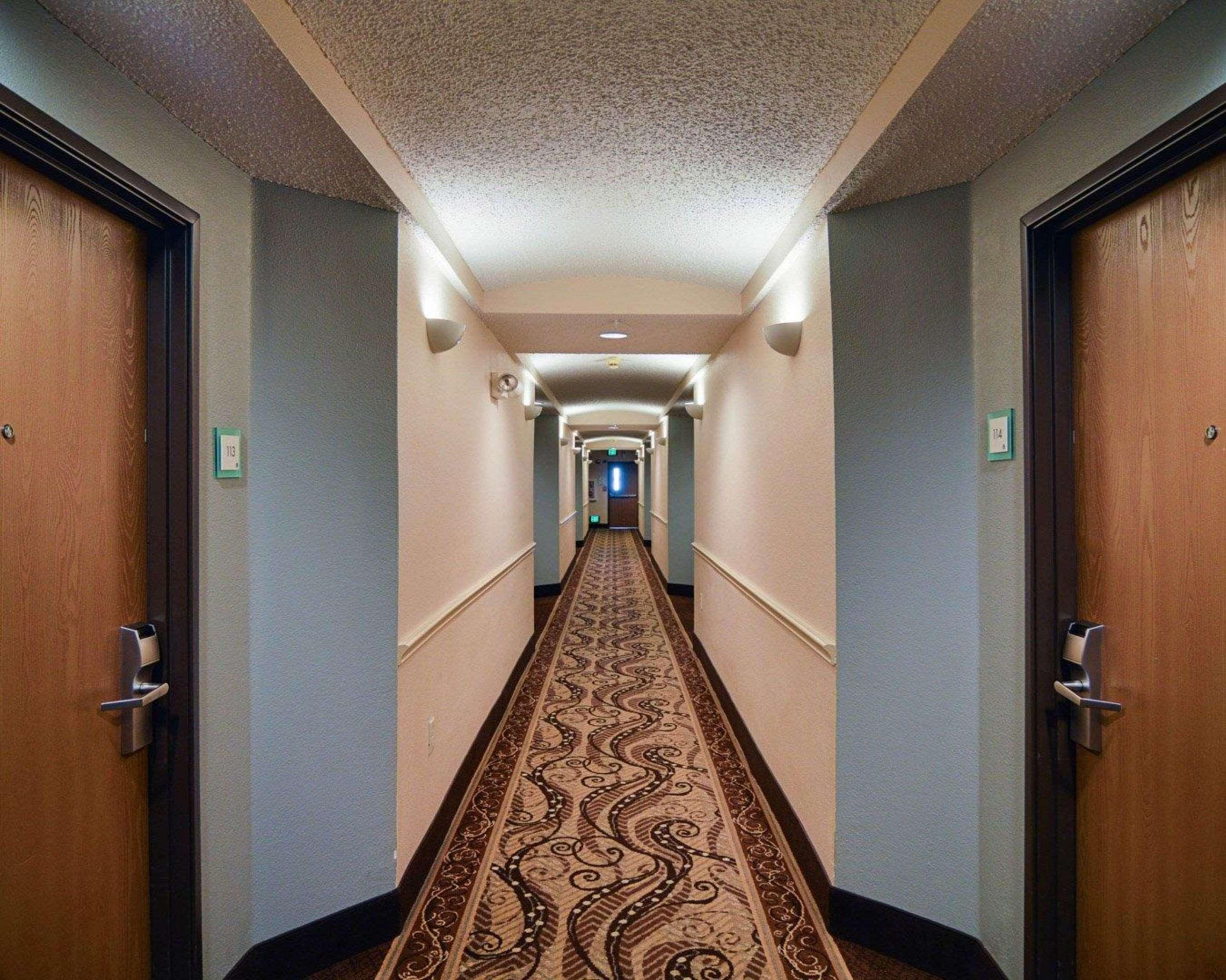 אירווינג Comfort Suites Dfw Airport מראה חיצוני תמונה